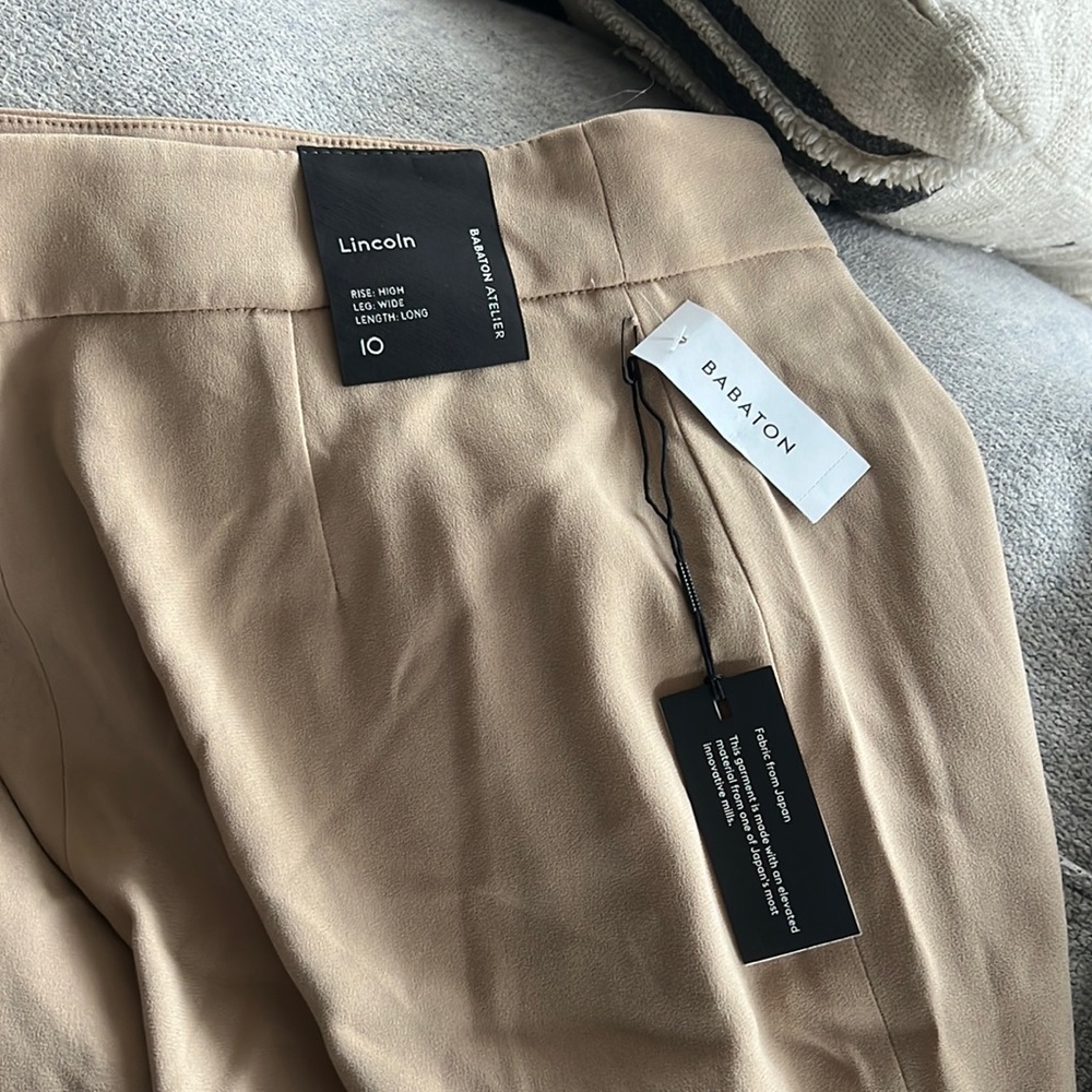 Lincoln Babaton by aritzia pants
